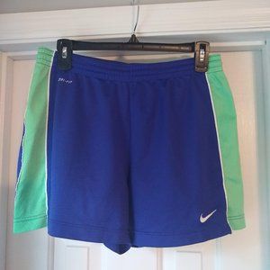 Nike Dri-Fit Blue and Green 3 inch Shorts